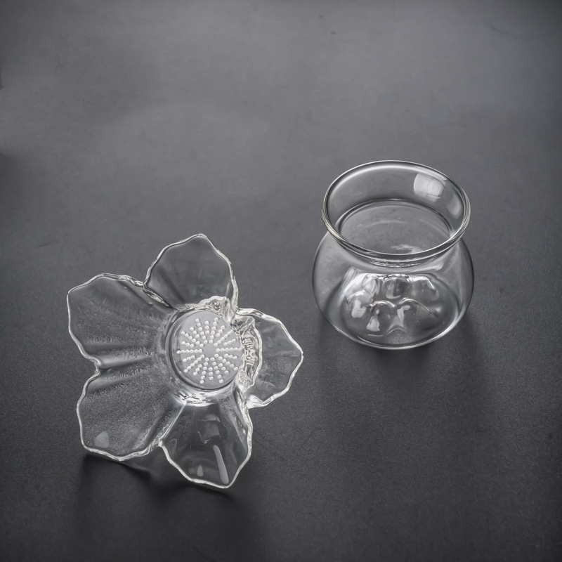 Infuseurs à thé en verre avec  - Loose Leaf Tea Infuser avis et prix